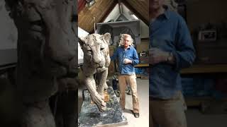 Lion sculptures 2019