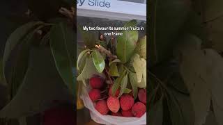 summer fruits ✨#shortvideo #algorithm #dailyshorts #minivlog
