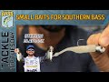 Utilizing 2D and small baits for southern bass in winter