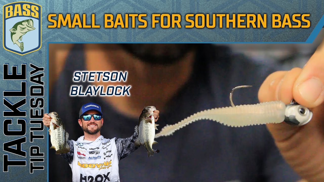 Utilizing 2D and small baits for southern bass in winter 