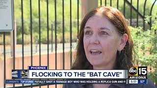 Thousands of bats flock to Phoenix