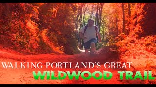 WALKING THE WILDWOOD: The Dark Stories of Forest Park