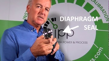 Sensitivity Fine Control P1S & Diaphragm Seal