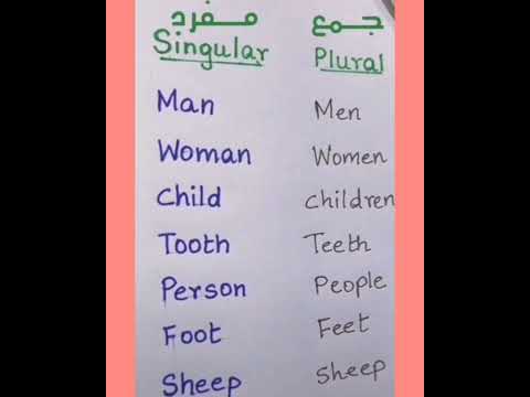 يزي جمع مفرد