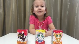 Открываем коробочки с пушистыми котятами. Открываем коробочки с пушистыми котятами.