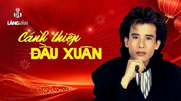 Cánh Thiệp Đầu Xuân (Tuyển Tập) | Tuấn Vũ | Nhạc Tết