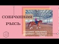 СОБРАННАЯ РЫСЬ. ТРЕНИРОВКА НА ЛУНАРИИ