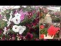 Tour por el jardín de Ofelia│Museo vivo de las flores│Candy Bu