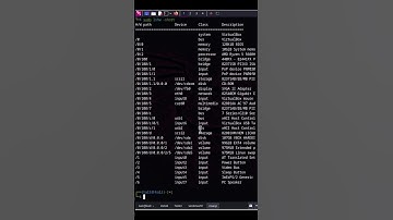黑客如何通过Terminal获取系统和硬件信息 #黑客 #leocybsec #linux