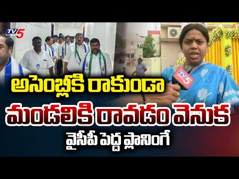 MLC Panchumarthi Anuradha Fires On YCP Over Assembly Boycott & MEGA DSC | TV5 News - TV5NEWS