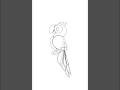 draw parrot #art #drawing #parrot