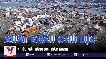 Nhiều mặt hàng xuất khẩu chủ lực của Việt Nam sụt giảm mạnh - VNEWS