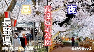 【長野移住】今週末が見頃!!桜満開で昼も夜も最高に綺麗な春が来たよ♪｜高遠城址公園｜六道堤の桜｜田切花桃の里｜ドライブ｜田舎暮らし｜長野県｜4K