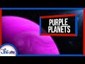 The Key to Finding Life Elsewhere in the Universe: Purple Planets?!?