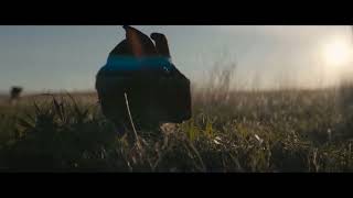 Prey 2022 - Predator Saves The Rabbit