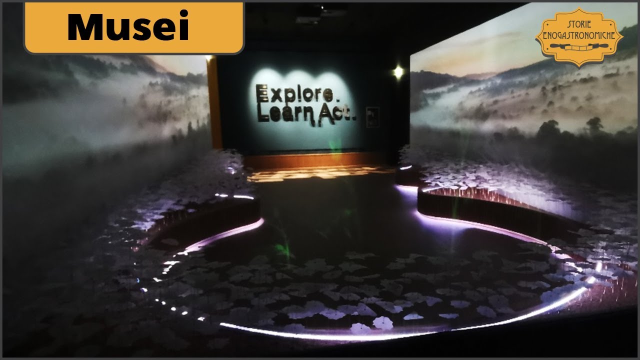 Fantastico video immersivo della natura, MuNe di Roma