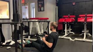Seated Alternating Cable Row