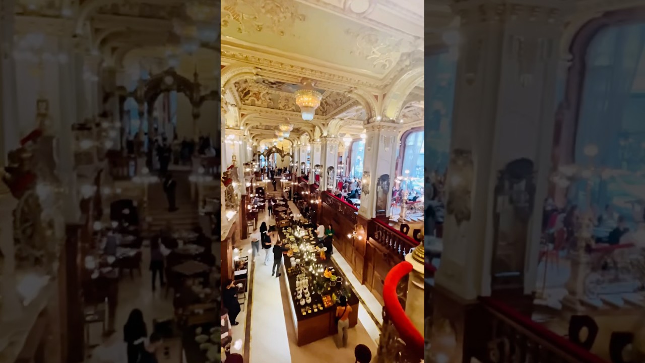 Witnessing the most beautiful cafe in this world 