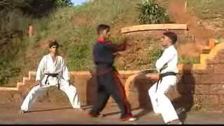 What A Dangerous Nunchuck Movement....................