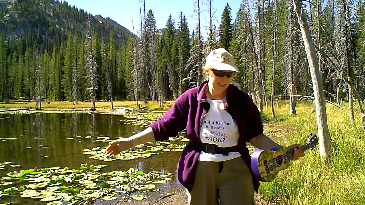 aqua lily pad bullfrog