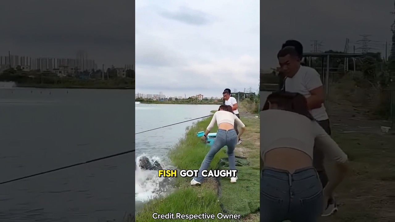 Улов рыбы 20 кг 🐟💪