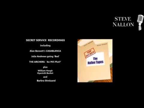 VOICE ARTIST -