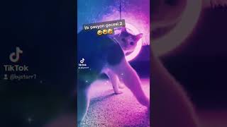 İlk Pavyon Gecesi 2 Kedi Naci