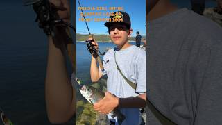 TROUT STILL BITING AT CASTAIC LAKE CA | LAS AVENTURAS DEL @valley_angler | SPRING APRIL 2024