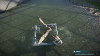 Prehistoric Feasts Pteranodons Soar To Fish From The Waters