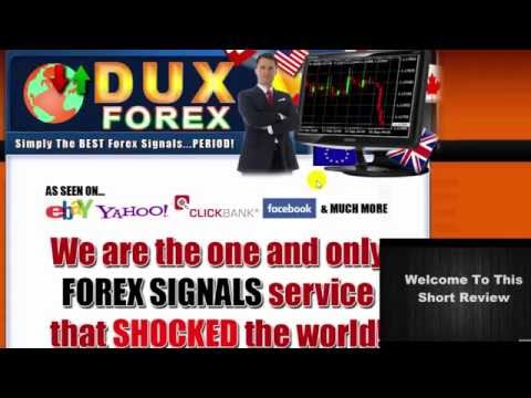 Dux Forex Signals Review Dux Forex Review - 
