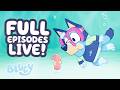 🔴LIVE: Underwater Adventures! ☀️ 💧 | 2 HOURS Bluey Full Episodes! 💙 | Bluey