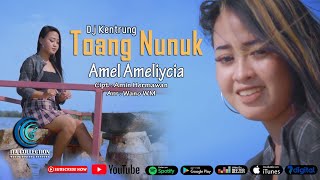 Amel ameliycia - Toang Nunuk Dj Kentrung [ Video Musik]