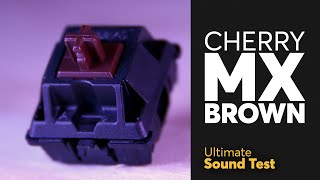 The Ultimate Cherry Mx Brown Sound Test Overrated Tactile Switch?