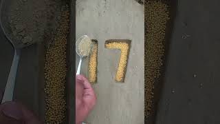 Number 17 Made with Seeds and Green Leaves #shorts Guide
