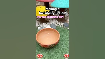 🩷— Making an Invisibility Potion!! #fairytok #bringbackfairytok #fairytok2025