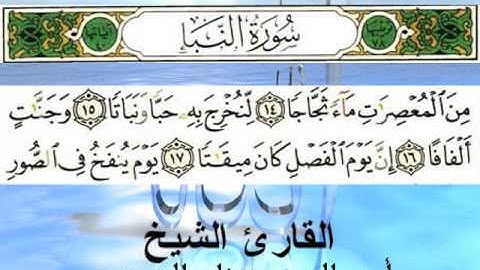 سورة النبأ (قراءة تعليمية) الشيخ أبي الحسن هشام