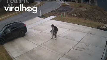 Husband Smoothly Saves The Day As Wife Struggles With Icy Driveway || ViralHog