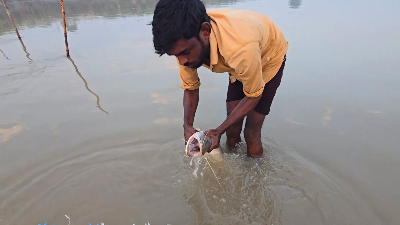 Amazing view of catching big fish from water 