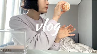 vlog) 얼렁뚱땅 제주도에 가게 된 J인간의 무계획 일상, 그리고 즉흥 숏단발.. 💇🏻‍♀️ by 장여름 jangyeoreum 542 views 1 year ago 13 minutes, 58 seconds