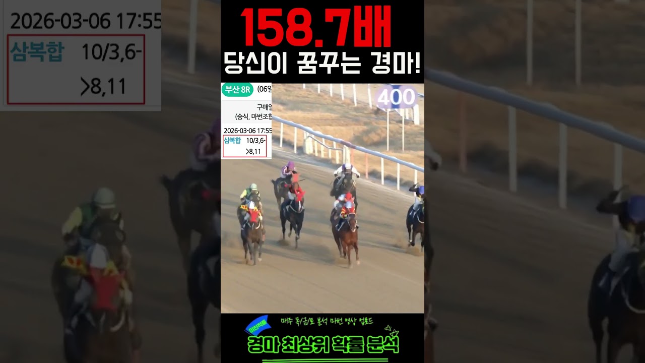 158.7배로 끝내는 금요경마 미친 마무리 적중! | 260306(금)부경8경주 | #경마 #경마재택크 #경마적중 #shorts #경마 #제주경마  #쇼츠 #고배당 #주식