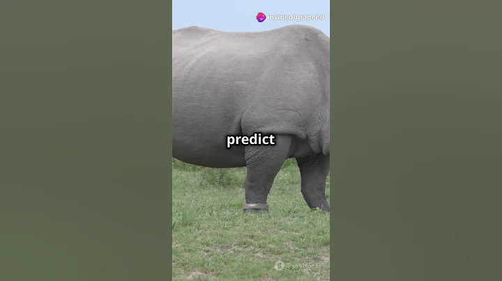 AI to the Rescue  Saving Wildlife!  #facts