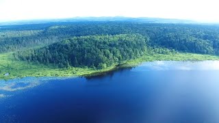 Download lagu Oji Group Corporate Video 'Oji Forests'