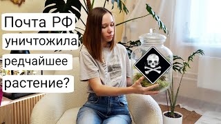 Почта России уничтожила редчайшее растение | Шок-распаковка растения мечты