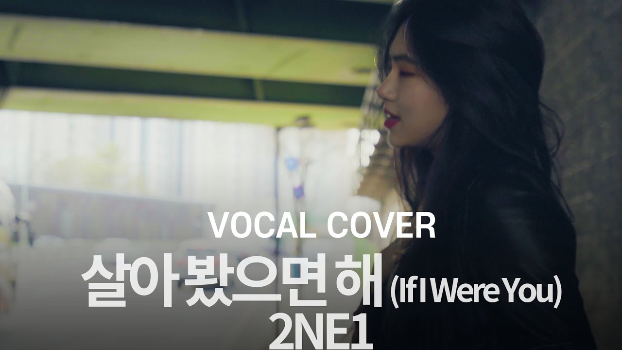2NE1      If I Were You Vocal cover  Cover by Jung Ji Soo