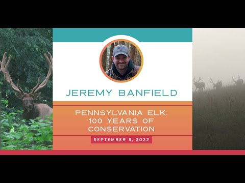 Video: Pennsylvania Elk stado