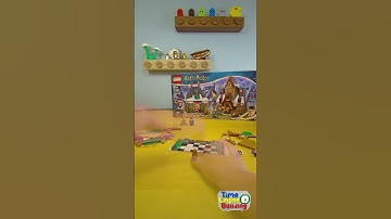 LEGO Hogsmeade Time Lapse Build