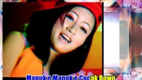 Roza Silvia & Cici Agustin-itu itu aja (official music video) dangdut remix
