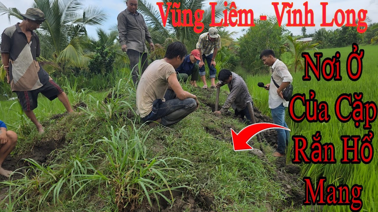 Vượt 114km Giúp Người Dân Vũng Liêm Tìm 1 Cặp Rắn Độc || Giang Ca SB # 55