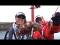 ライトゲームで冬の魚をゲット!淡路島の漁港をランガン!/四季の釣り/2014年12月26日OA