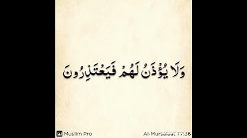 آيات من الذكر الحكيم #المصحف-الشريف ( القران الكريم) من سورة المرسلات بصوت رائع  @قناةالحر-ت4ف